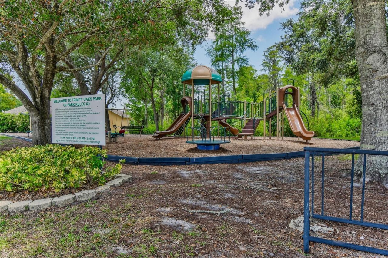 8706 Linebrook Drive, Trinity, FL 34655 Photo