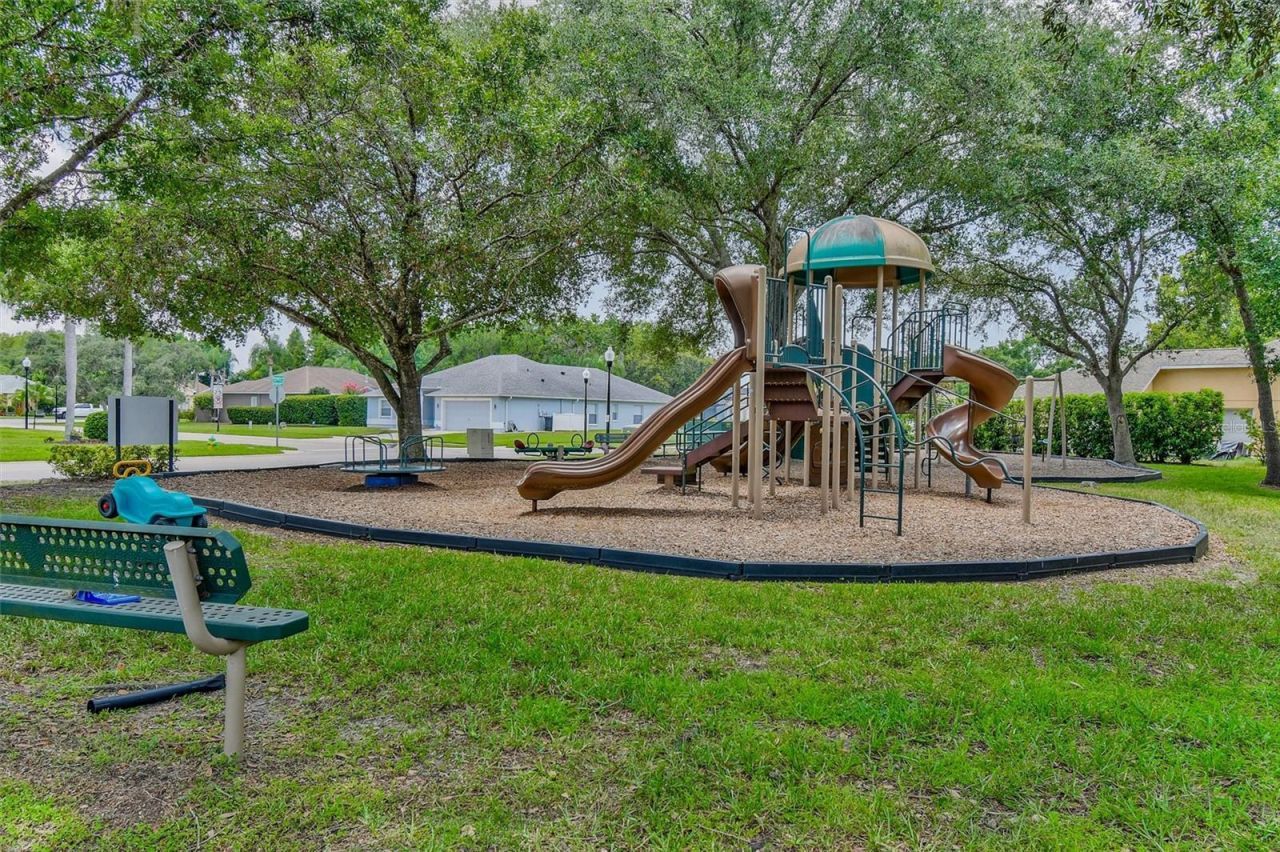 8706 Linebrook Drive, Trinity, FL 34655 Photo
