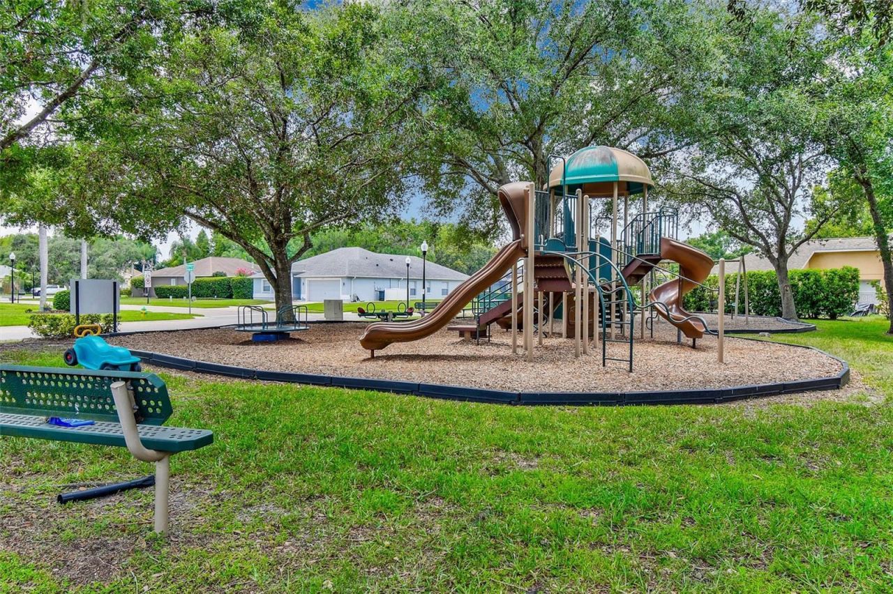 8706 Linebrook Drive, Trinity, FL 34655 Photo