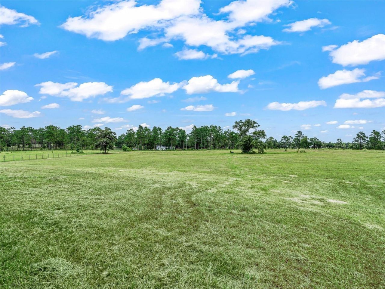 14461 SE 80th Street , Morriston, FL 32668 Photo