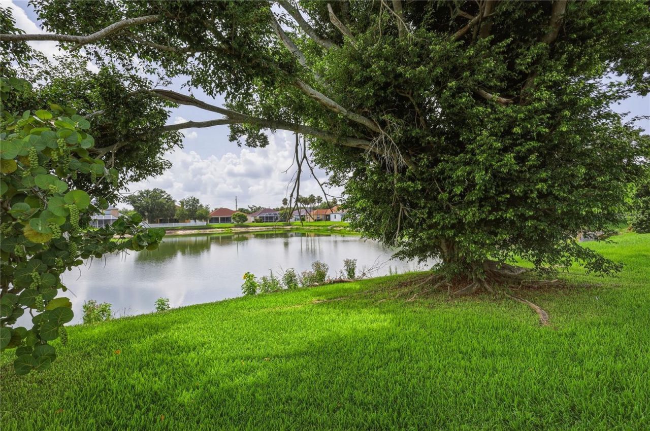 6305 Rock Creek Circle, Ellenton, FL 34222 Photo