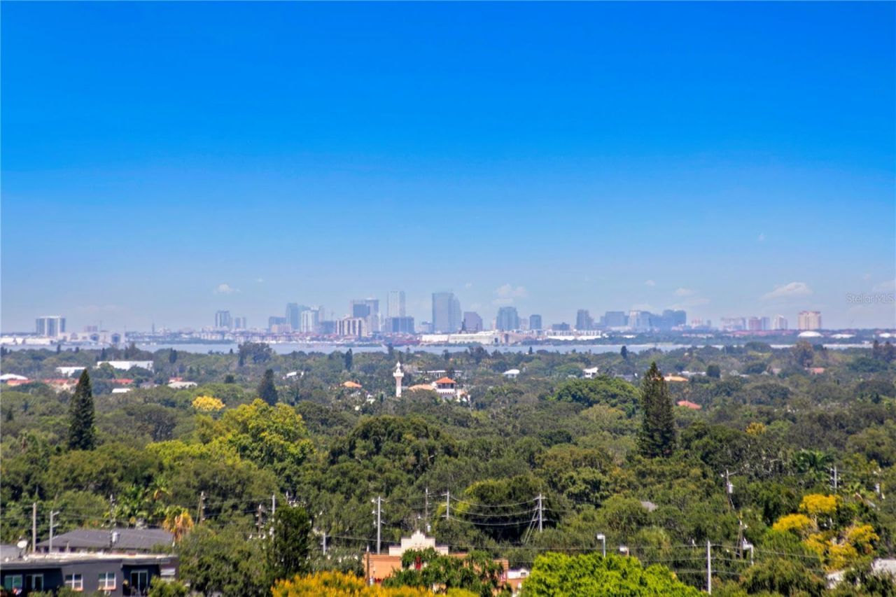 777 3rd Avenue N, Unit 1204, Saint Petersburg, FL 33701 Photo