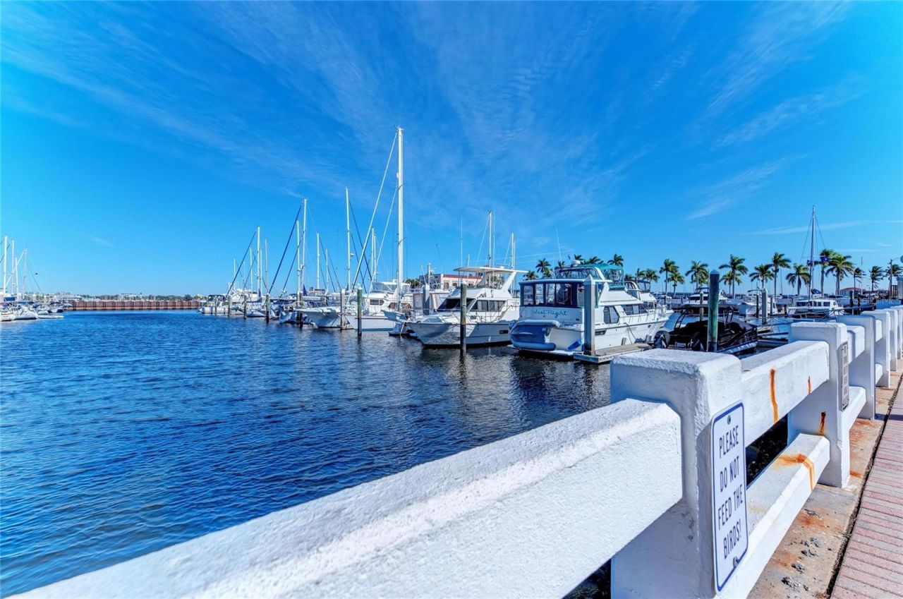 1510 1st Avenue W, Unit 503, Bradenton, FL 34205 Photo