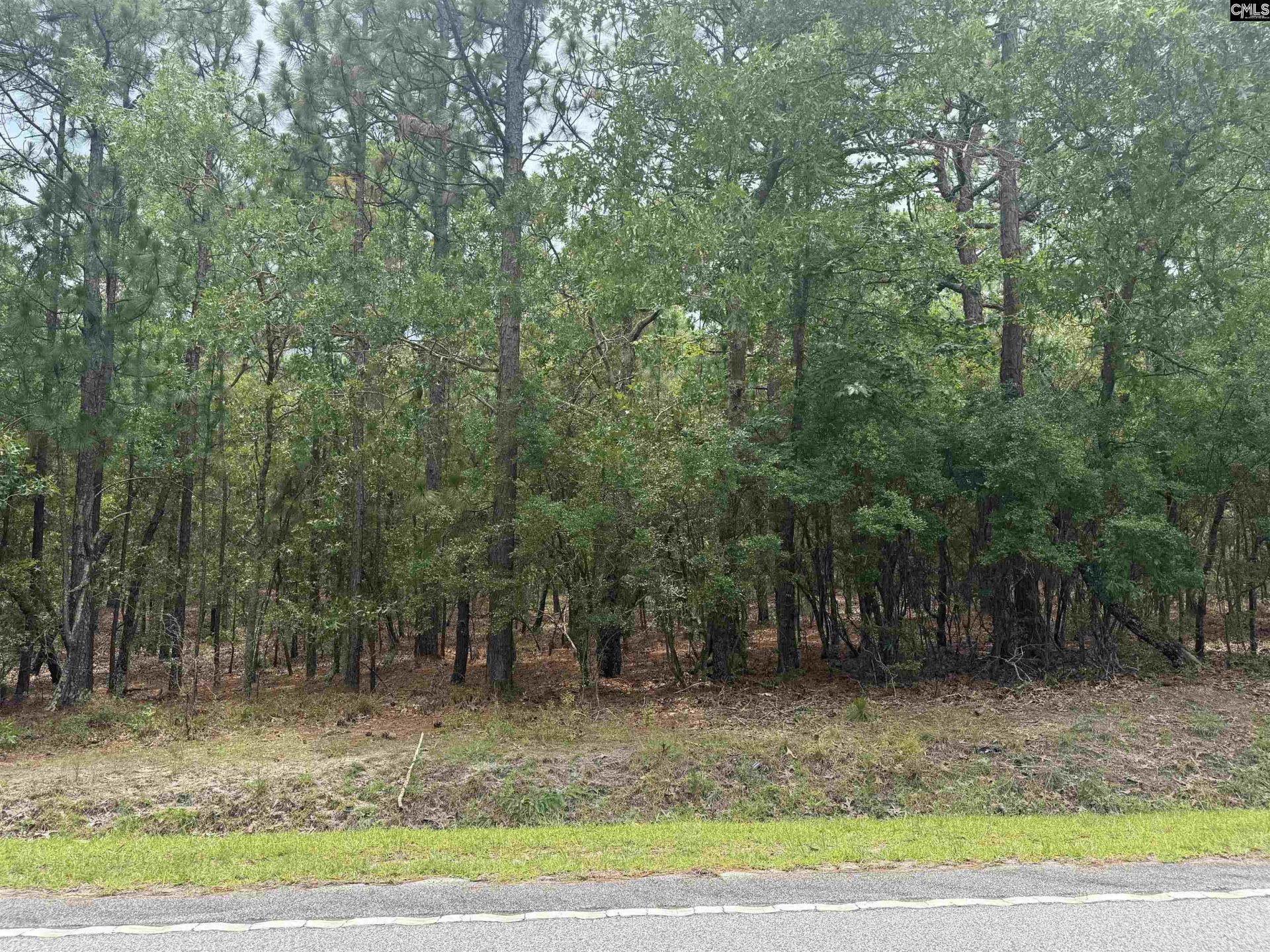 1139 Brewer Springs Road  Photo 4