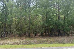 1139 Brewer Springs Road  photo 4