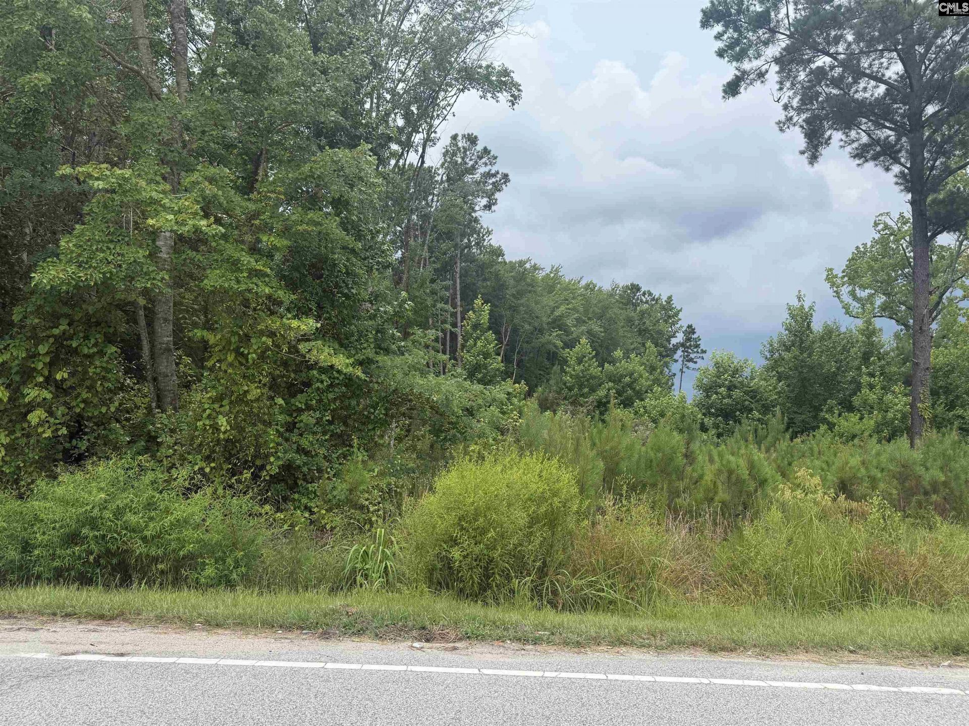 1139 Brewer Springs Road  Photo 6
