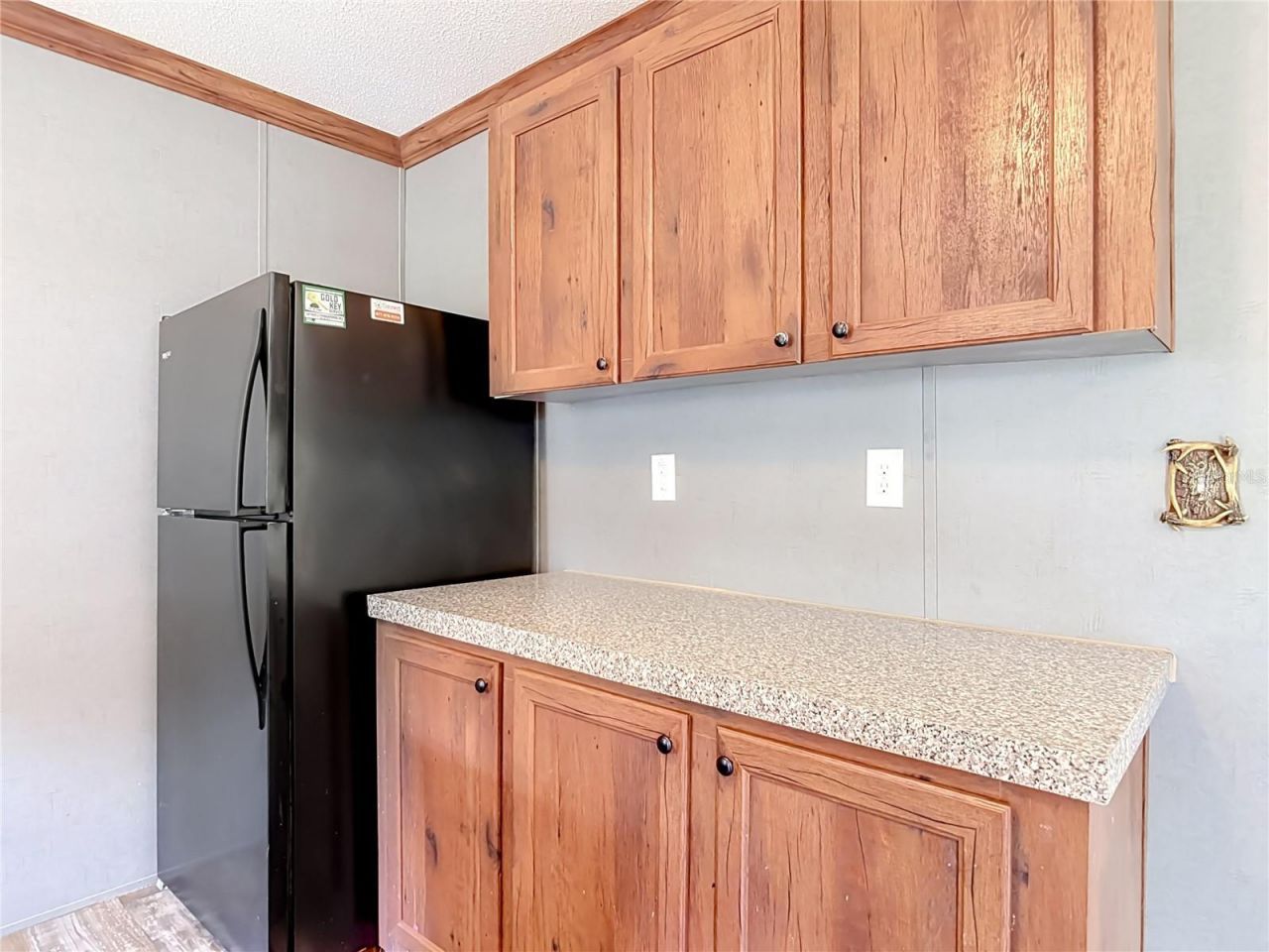 40628 Palm Drive , Eustis, FL 32736 Photo