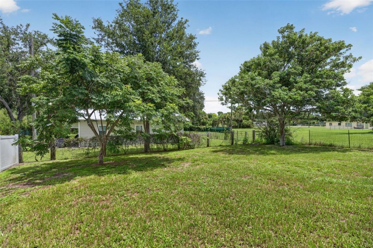 166 W 11th Street, Chuluota, FL 32766 Photo