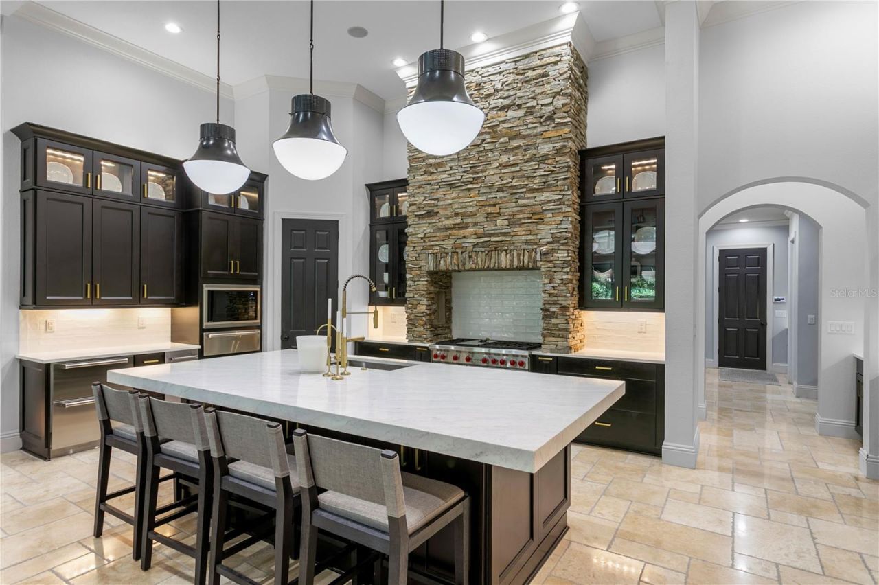 15306 Fishhawk Preserve Drive, Lithia, FL 33547 Photo