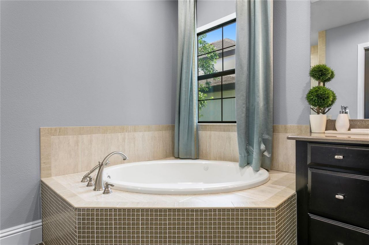 15306 Fishhawk Preserve Drive, Lithia, FL 33547 Photo