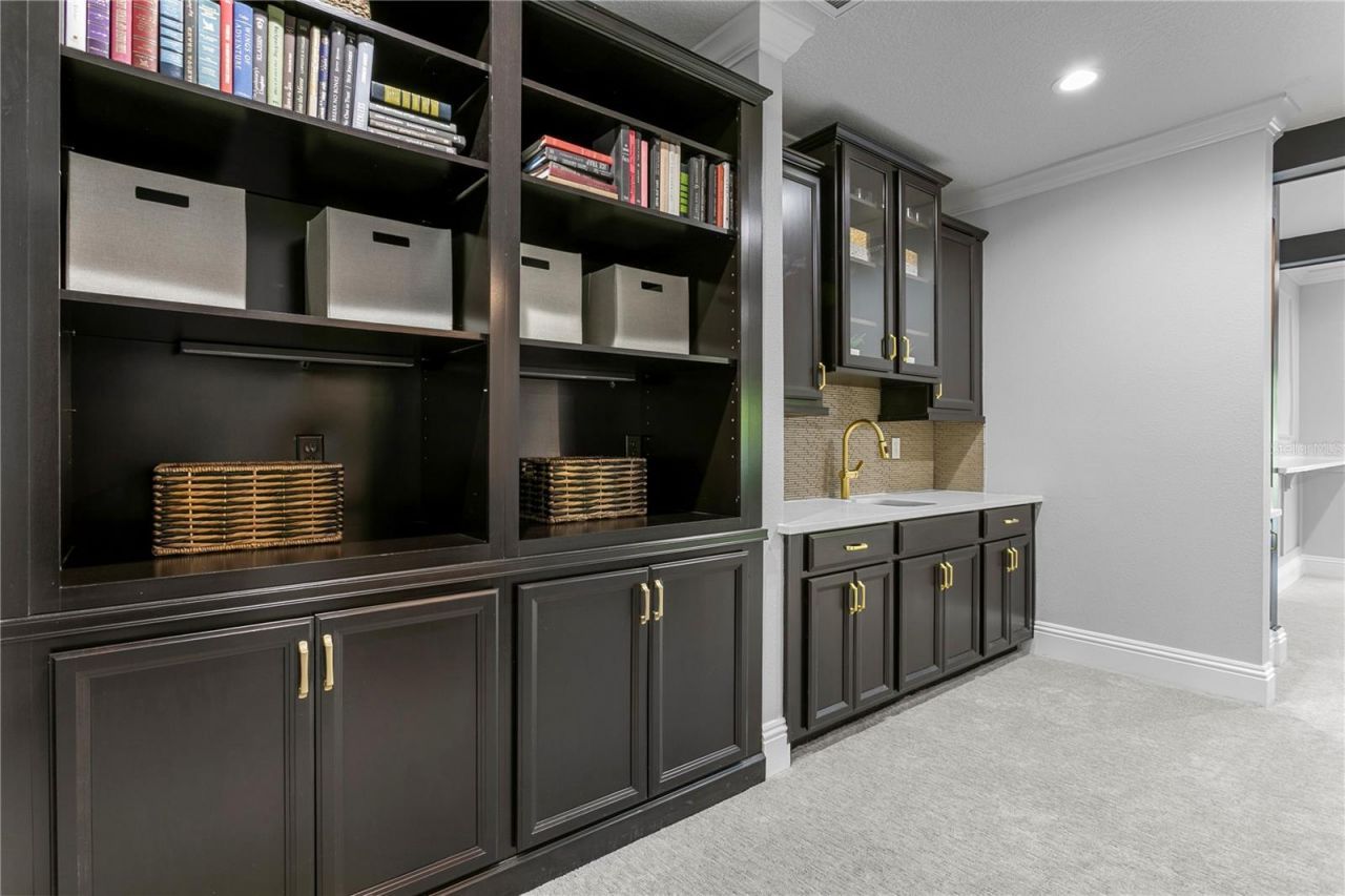 15306 Fishhawk Preserve Drive, Lithia, FL 33547 Photo