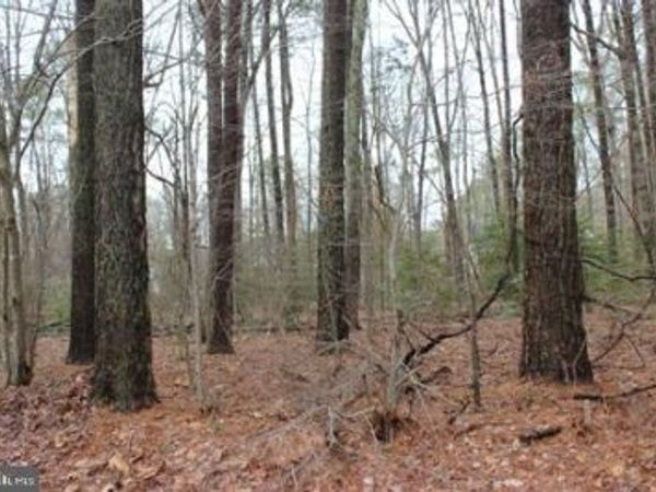 2104 BUCCANEER BOULEVARD, GREENBACKVILLE, VA 23356