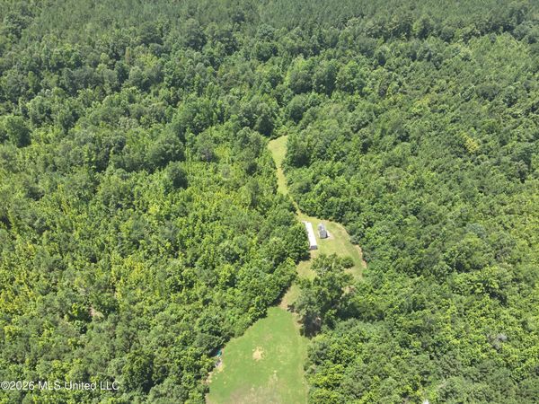 000 Mississippi 43 , Carthage, MS 39051