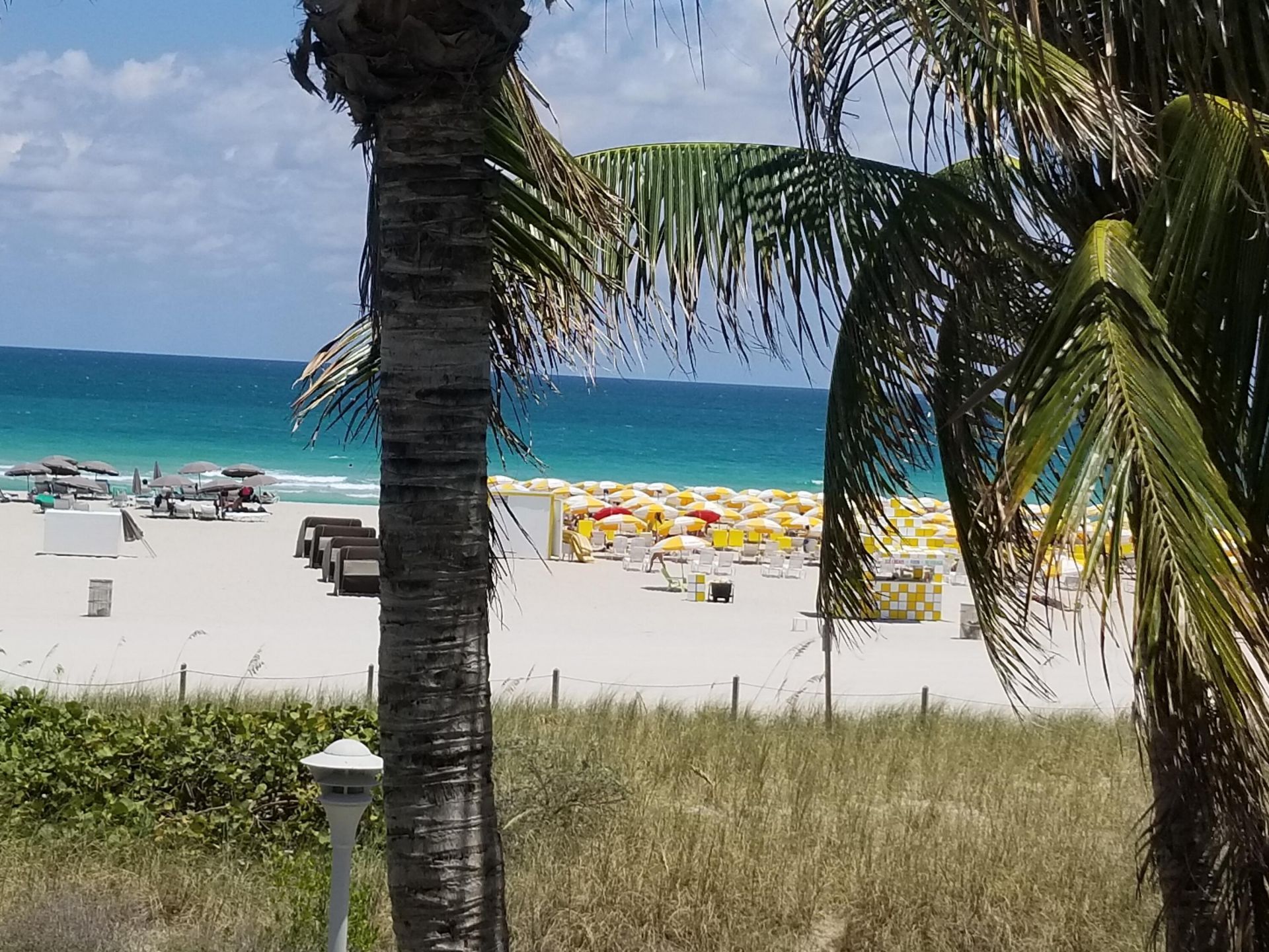100 Lincoln Road, Unit 1524, Miami Beach, FL 33139 Photo