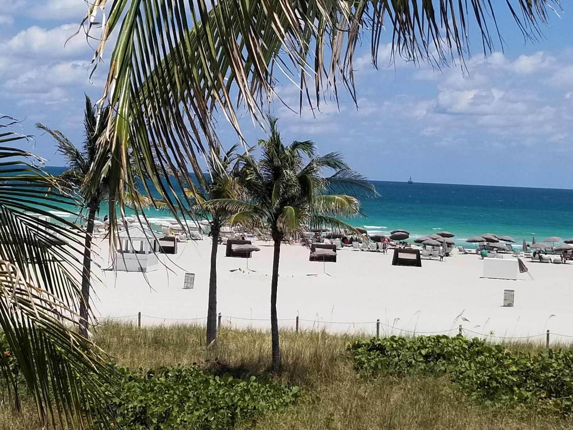 100 Lincoln Road, Unit 1524, Miami Beach, FL 33139 Photo