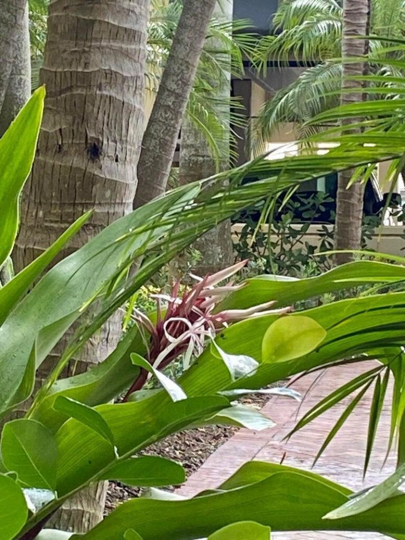 4905 Midtown Lane, Unit 2104, Palm Beach Gardens, FL 33418 Photo