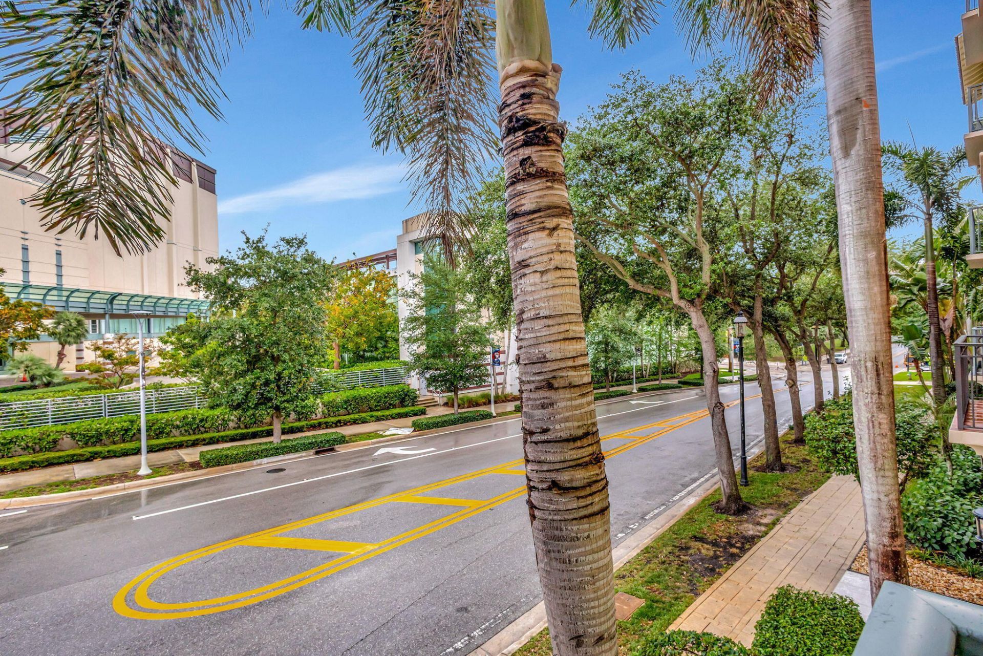 780 S Sapodilla Avenue, Unit 203, West Palm Beach, FL 33401 Photo
