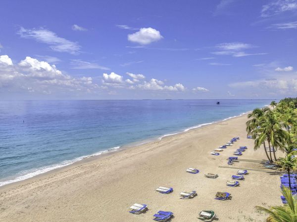 3500 Galt Ocean Drive, Unit 2115, Fort Lauderdale, FL 33308