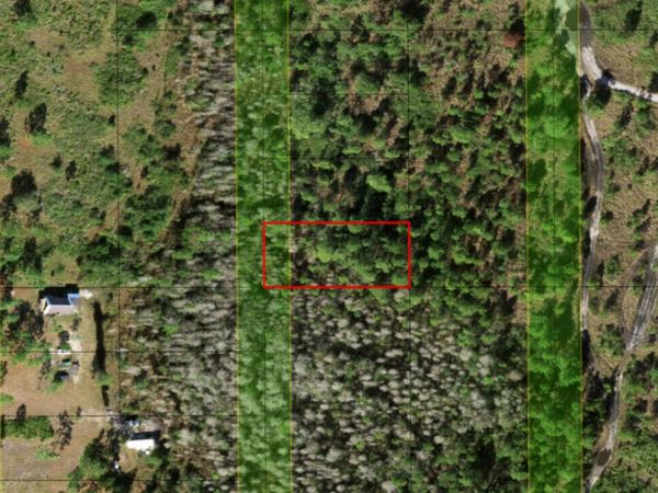0 Holopaw Groves Road, St. Cloud, FL 34772