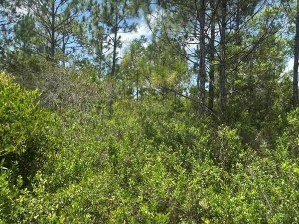 0 Holopaw Groves Road, St. Cloud, FL 34772