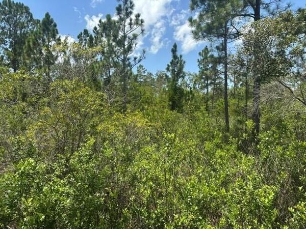 0 Holopaw Groves Road, St. Cloud, FL 34772