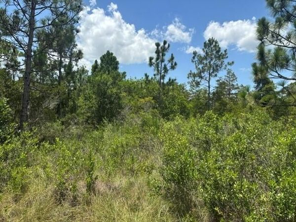 0 Holopaw Groves Road, St. Cloud, FL 34772