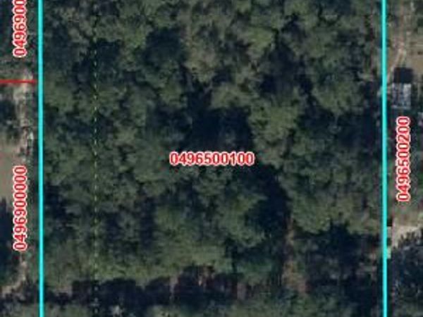 Xxx NE 35, Williston, FL 32696