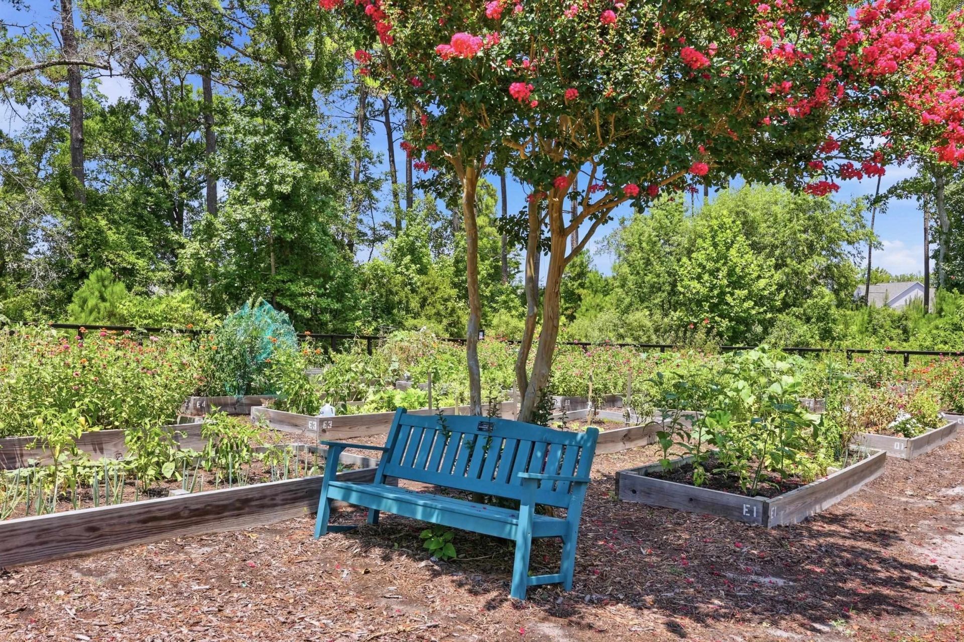 520 Mcalister Dr. Photo 45
