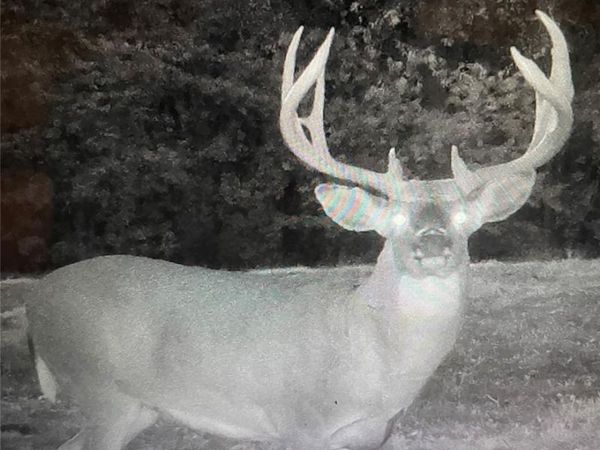 0000 County Road 443 , Curryville, MO 63359