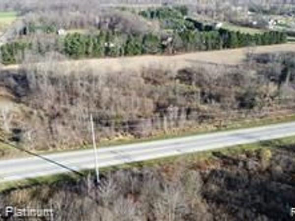 V/L ARGENTINE ROAD, Oceola Twp, MI 48855
