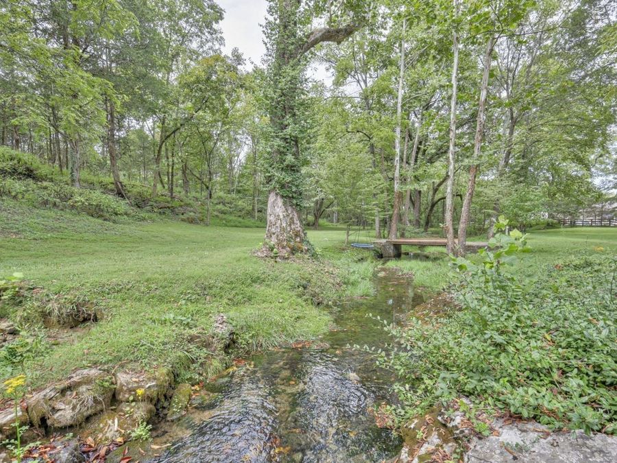 Property Image 56