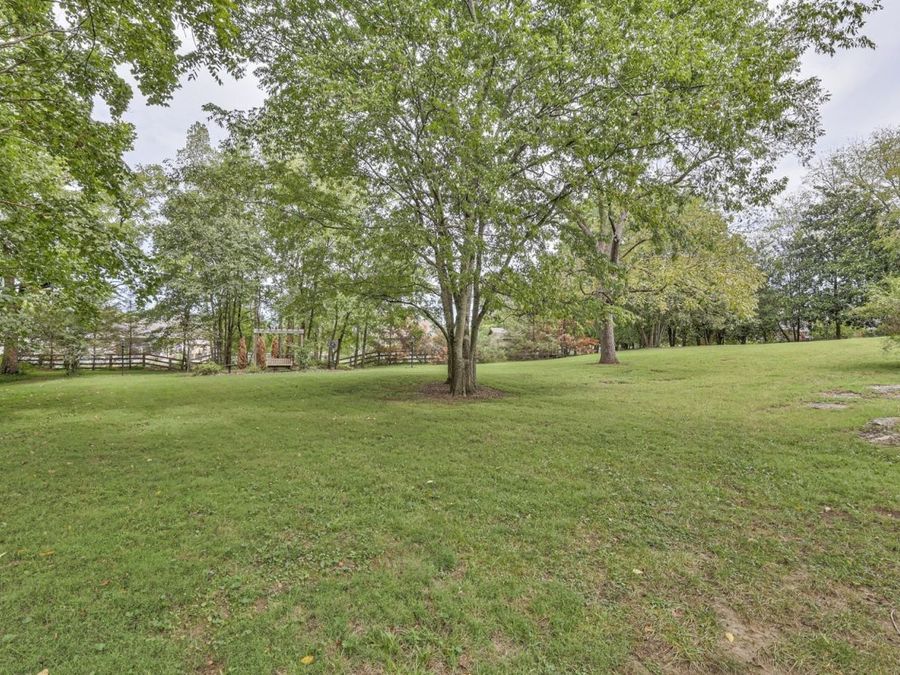 Property Image 59