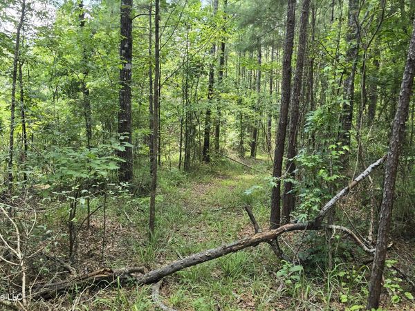 . Neal Posey Road, McCall Creek, MS 39647