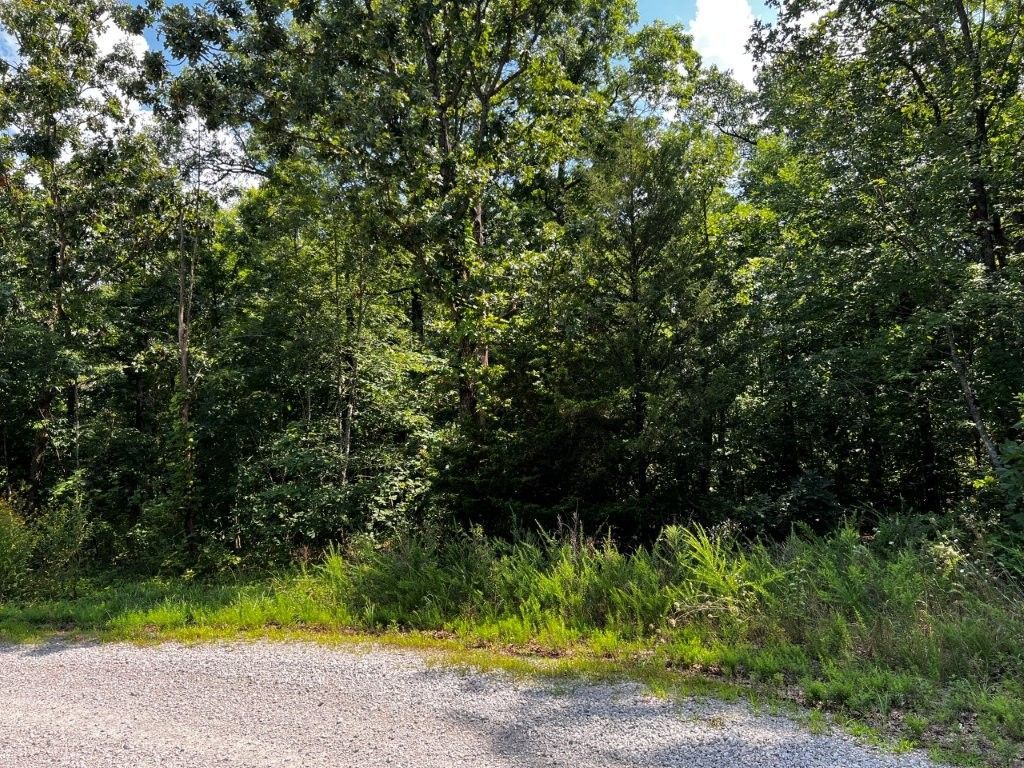 Lot 13 Collins Lane, Bella Vista, AR 72714 Main Photo