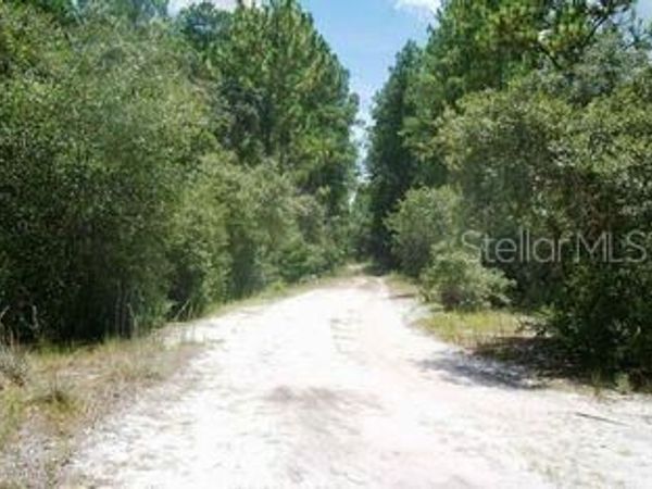 148 ARDEN STREET , GEORGETOWN, FL 32139