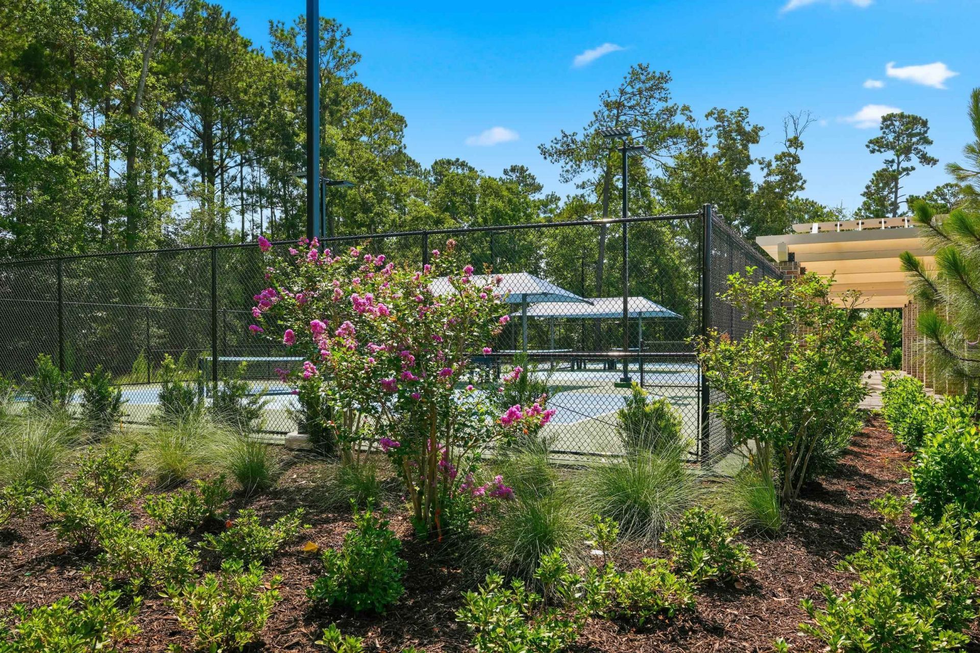 2524 Rowyn St. Photo 42
