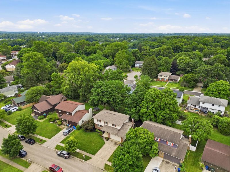 2949 Heatherleaf Way, Columbus, OH 43231 Photo 37