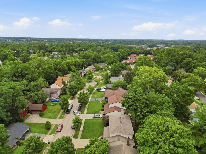 2949 Heatherleaf Way, Columbus, OH 43231 Photo 38