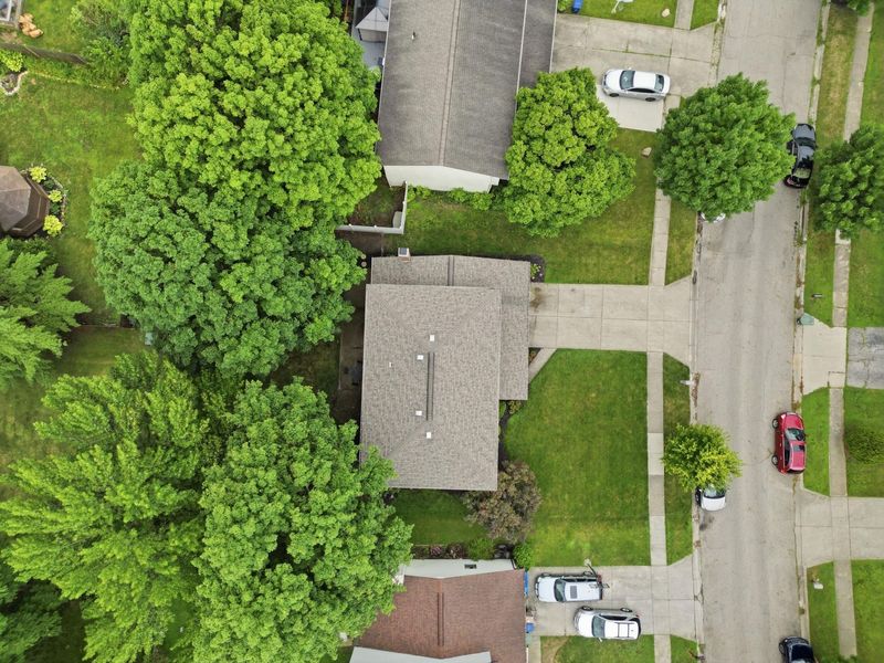 2949 Heatherleaf Way, Columbus, OH 43231 Photo 39