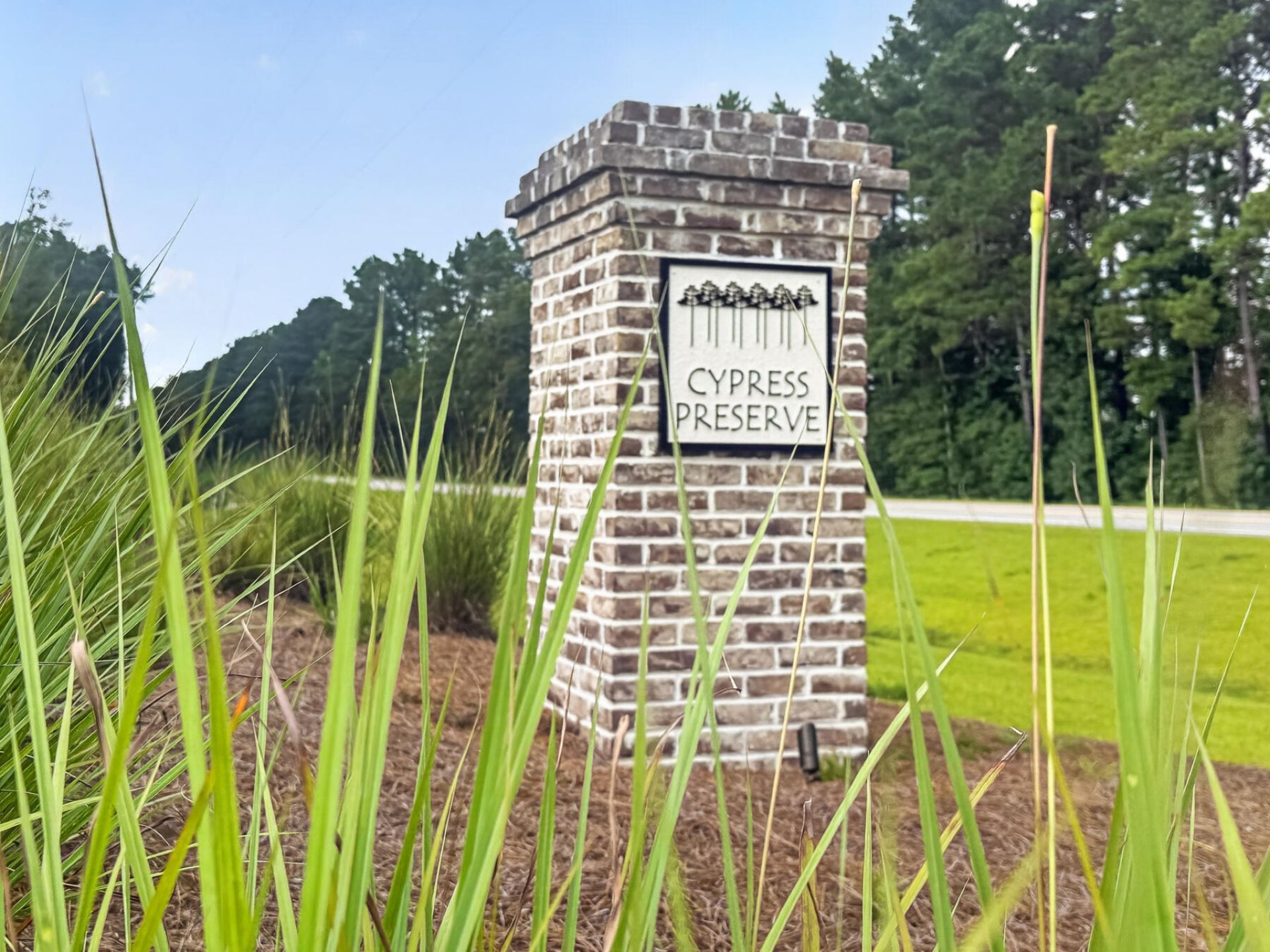 476 Camellia Bloom Drive Photo 53