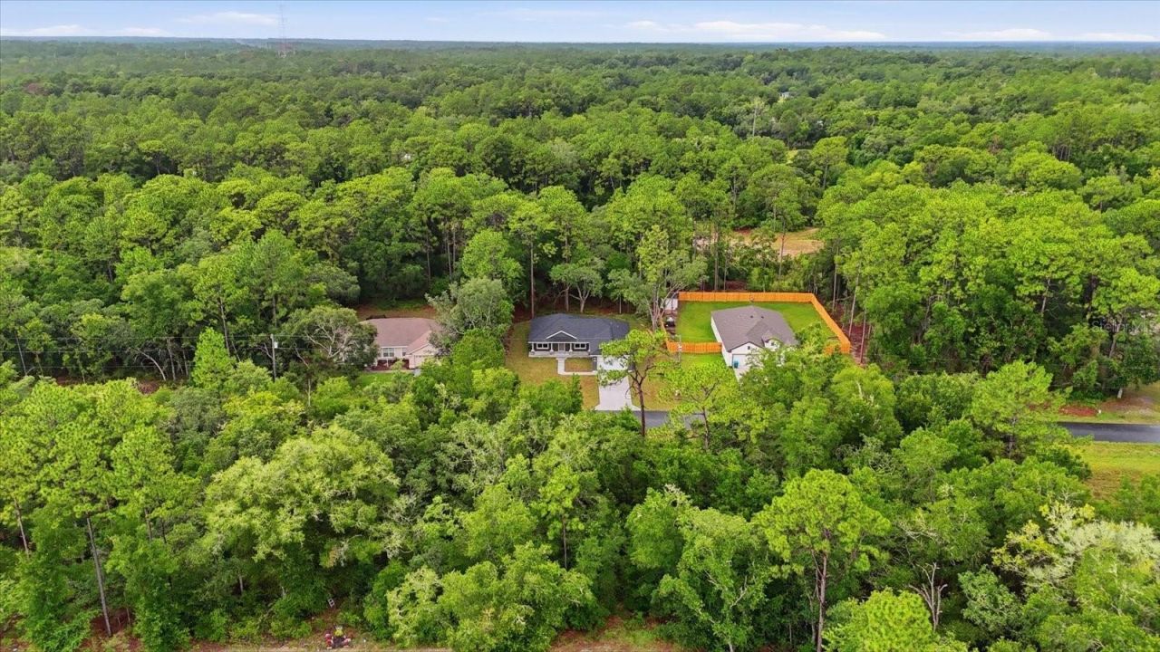 9944 N Wayland Avenue, Citrus Springs, FL 34434 Photo