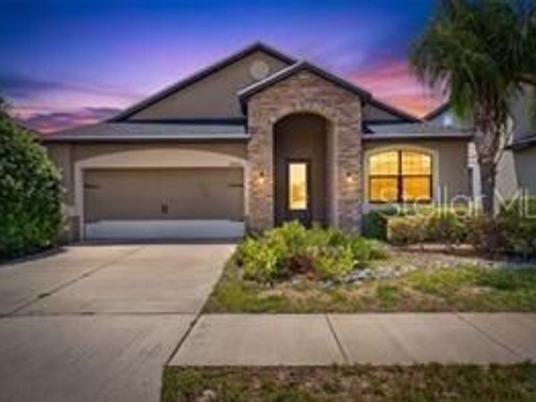 12433 BALLENTRAE FOREST DRIVE , RIVERVIEW, FL 33579