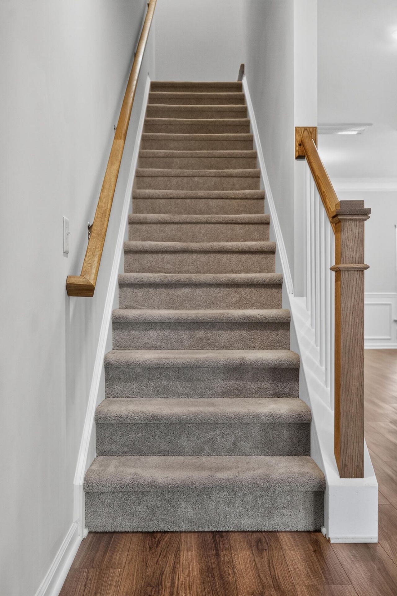 230 Swallowtail Lane Photo 24