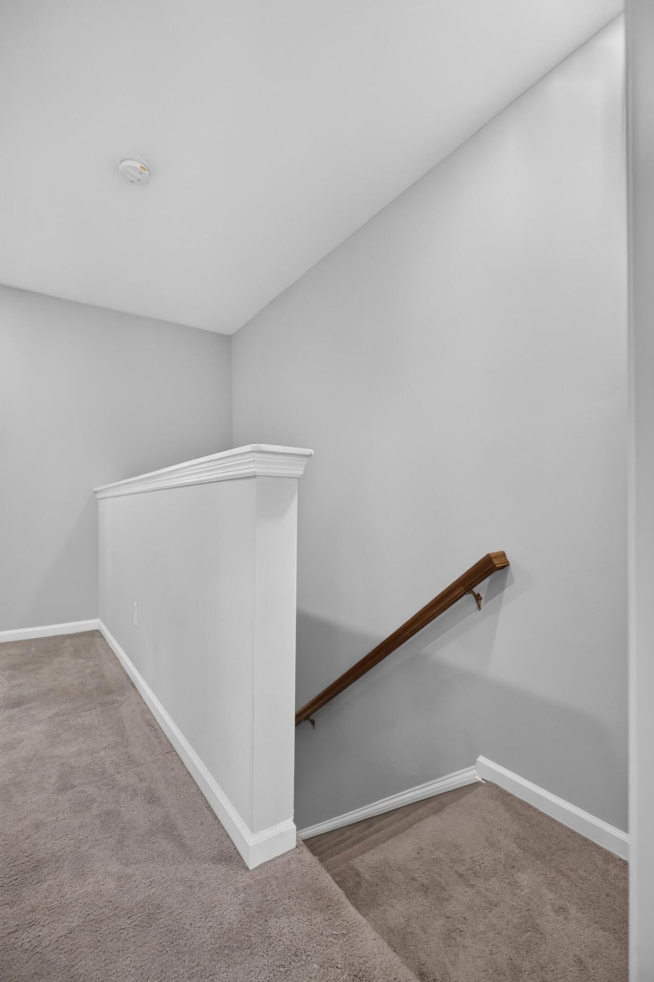230 Swallowtail Lane Photo 25