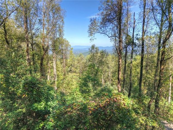 LT 296 Andes Ridge , Ellijay, GA 30536