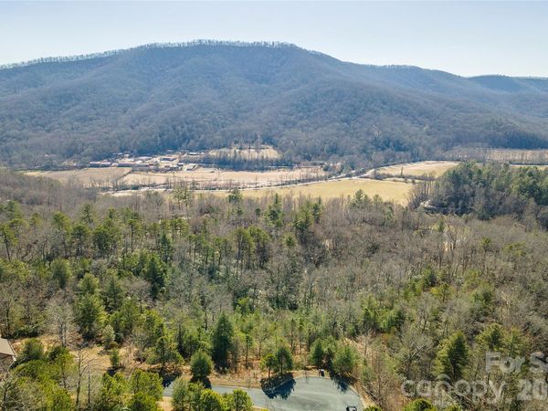 99999 Woodhen Way , Horse Shoe, NC 28742