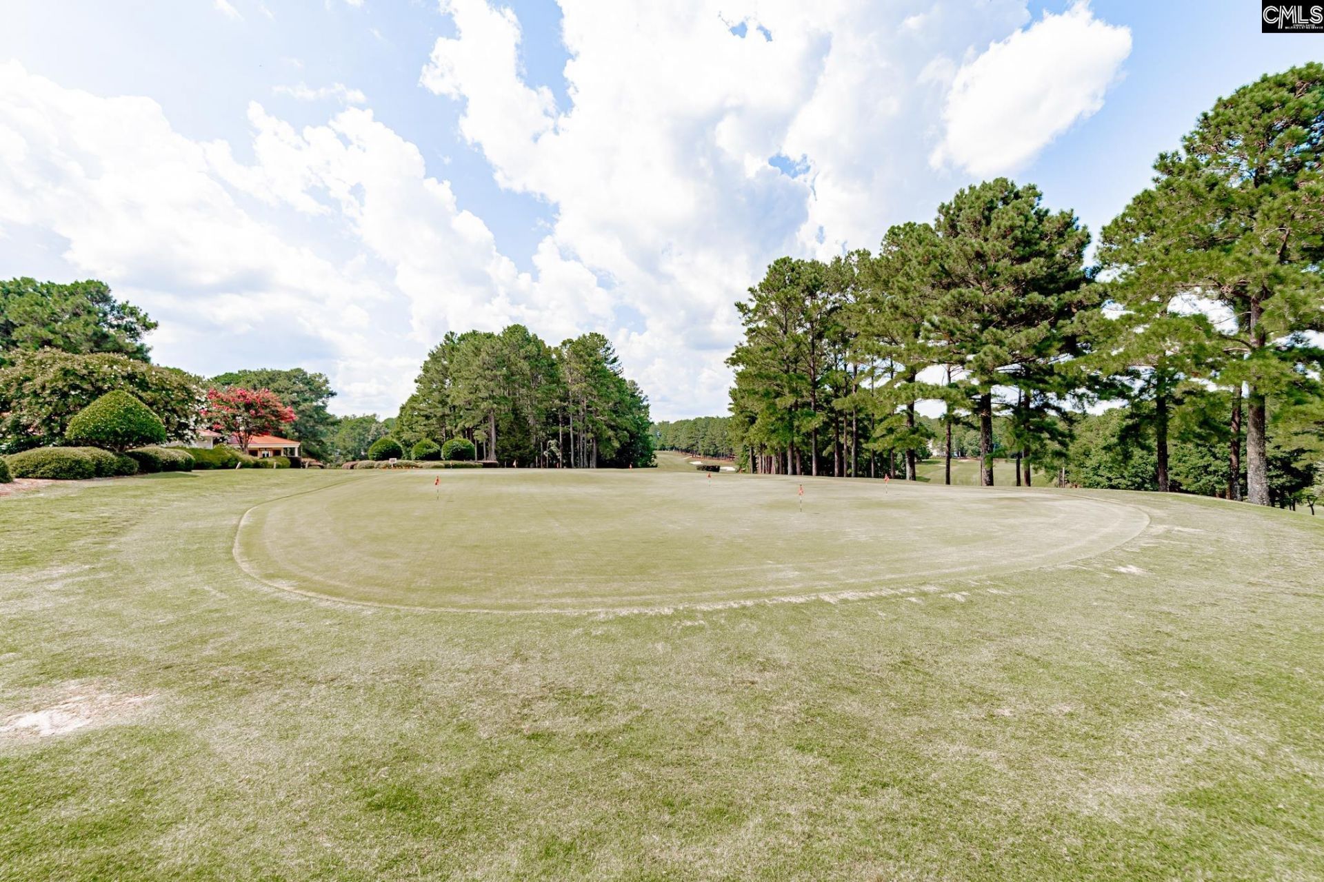 209 High Pointe Drive  Photo 48