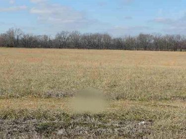 328 Golden Meadow Lane, Ledbetter, KY 42058