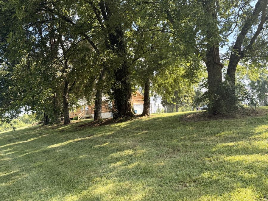 Property Image 36