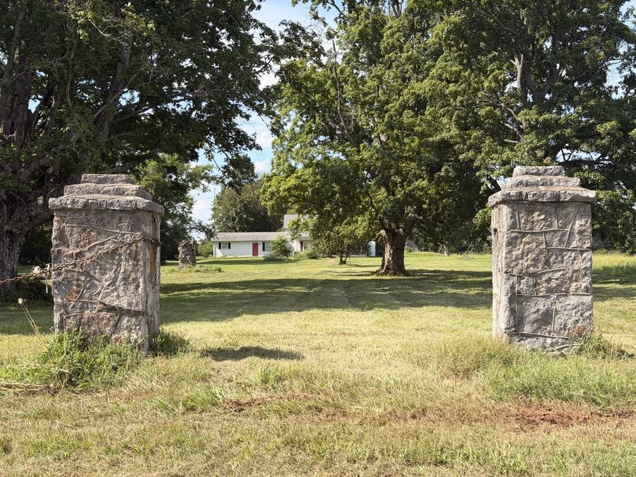 Property Image 61